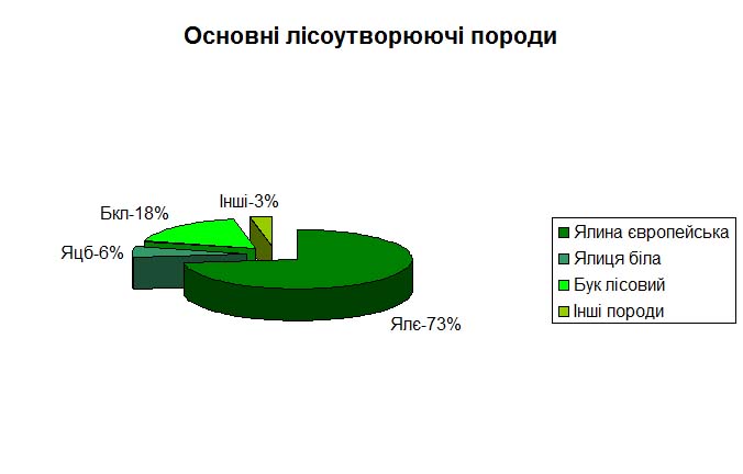 Основні лісоутворюючі породи